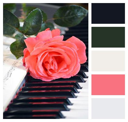 Piano Rose Happy Mothers Day Image